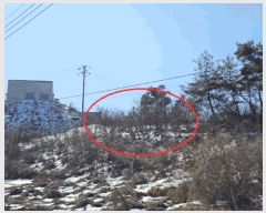  2025Ÿ��240  �Ӿ߰��