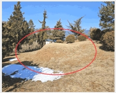  2025Ÿ��240  �Ӿ߰��