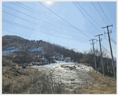  2025Ÿ��240  �Ӿ߰��