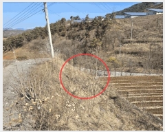  2025Ÿ��240  �Ӿ߰��