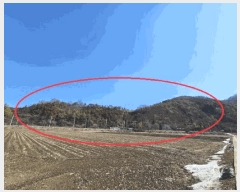  2025Ÿ��240  �Ӿ߰��