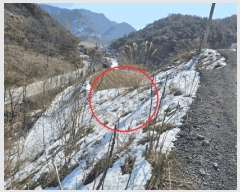  2025Ÿ��240  �Ӿ߰��