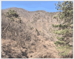  2025Ÿ��295 ���� ������ ������ ����� 1083-1      ����(��1)���