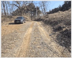  2025Ÿ��295 ���� ������ ������ ����� 1083-1      ����(��1)���