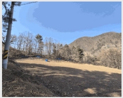  2025Ÿ��295 ���� ������ ������ ����� 1083-1      ����(��1)���