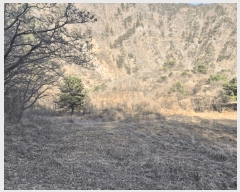  2025Ÿ��295 ���� ������ ������ ����� 1083-1      ����(��1)���