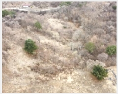  2025Ÿ��295 ���� ������ ������ ����� 1083-1      ����(��1)���