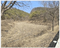  2025Ÿ��370  �����