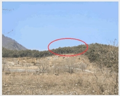  2025Ÿ��370  �����