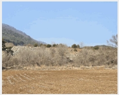  2025Ÿ��370  �����