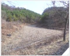  2025Ÿ��370  �����