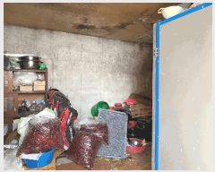  2025Ÿ��455  ���ð��