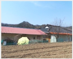  2025Ÿ��455  ���ð��