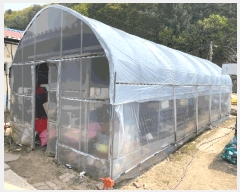  2025Ÿ��455  ���ð��