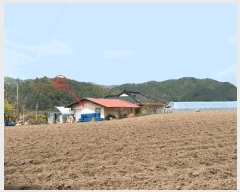  2025Ÿ��455  ���ð��