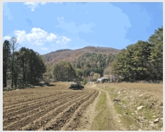  2025Ÿ��486  �����