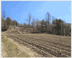  2025Ÿ��486  �����