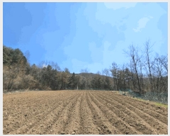  2025Ÿ��486  �����