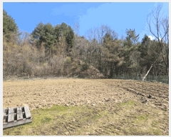  2025Ÿ��486  �����