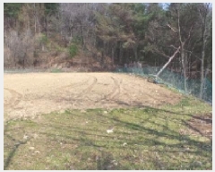  2025Ÿ��486  �����