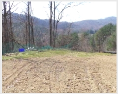  2025Ÿ��486  �����