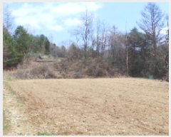  2025Ÿ��486  �����