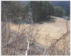  2025Ÿ��486  �����