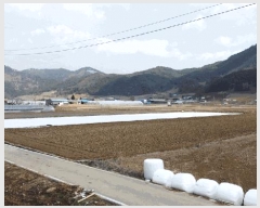  2025Ÿ��530 ���� ������ ������ ������ 681      ����(��)���