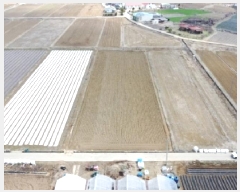  2025Ÿ��530 ���� ������ ������ ������ 681      ����(��)���