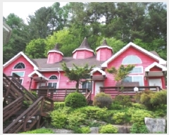  2025Ÿ��554  ���(ķ����)���