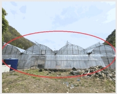  2025Ÿ��585 ���� ������ �ŵ��� ��ġ�� 872      ����(��1)���