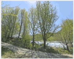  2025Ÿ��585 ���� ������ �ŵ��� ��ġ�� 872      ����(��1)���