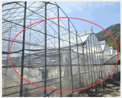  2025Ÿ��585 ���� ������ �ŵ��� ��ġ�� 872      ����(��1)���