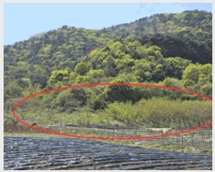  2025Ÿ��585 ���� ������ �ŵ��� ��ġ�� 872      ����(��1)���