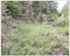  2025Ÿ��639 ���� ��â�� ����� ���Ÿ� 754      ����(��1)���