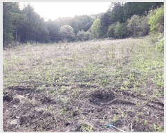  2025Ÿ��639 ���� ��â�� ����� ���Ÿ� 754      ����(��1)���