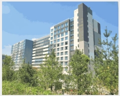  2025Ÿ��691 ���� ��â�� ����� ��¸� 922 ȣ�ھ�Ʈ���� ȣ�ڵ� 2��224ȣ   �ܵ�(ȣ��)���