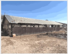  2025Ÿ30104  â ɸ ׵ 109 ()     (󰡽ü)