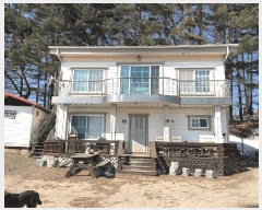  2025Ÿ30104  â ɸ ׵ 109 ()     (󰡽ü)