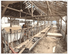  2025Ÿ30104  â ɸ ׵ 109 ()     (󰡽ü)