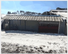  2025Ÿ30104  â ɸ ׵ 109 ()     (󰡽ü)