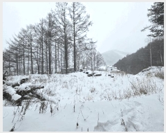  2025Ÿ30159  â  Ÿ 32-2      (Ӿ)