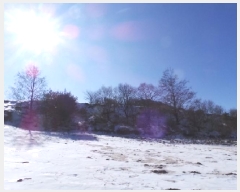  2025Ÿ��30180 ���� ��â�� ����ɸ� Ⱦ�踮 185-47      ����(�Ӿ�)���