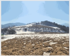  2025Ÿ��30180 ���� ��â�� ����ɸ� Ⱦ�踮 185-47      ����(�Ӿ�)���