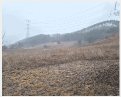  2025Ÿ��30296  �����