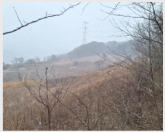  2025Ÿ��30296  �����