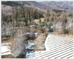  2025Ÿ��30360 ���� ��â�� ����� ���渮 904-1      ����(�Ӿ�)���