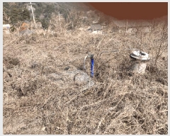  2025Ÿ��30365  �Ӿ߰��