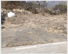  2025Ÿ��30365  �Ӿ߰��