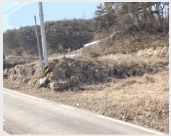  2025Ÿ��30365  �Ӿ߰��